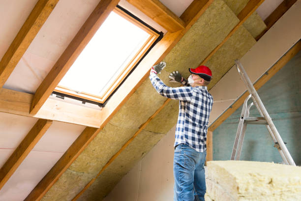 Professional Insulation Removal & Installation in Terrytown, LA